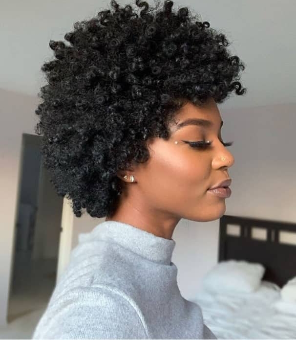 20+ Beautiful and Easy Ways To Style Your Natural Hair - The Glossychic