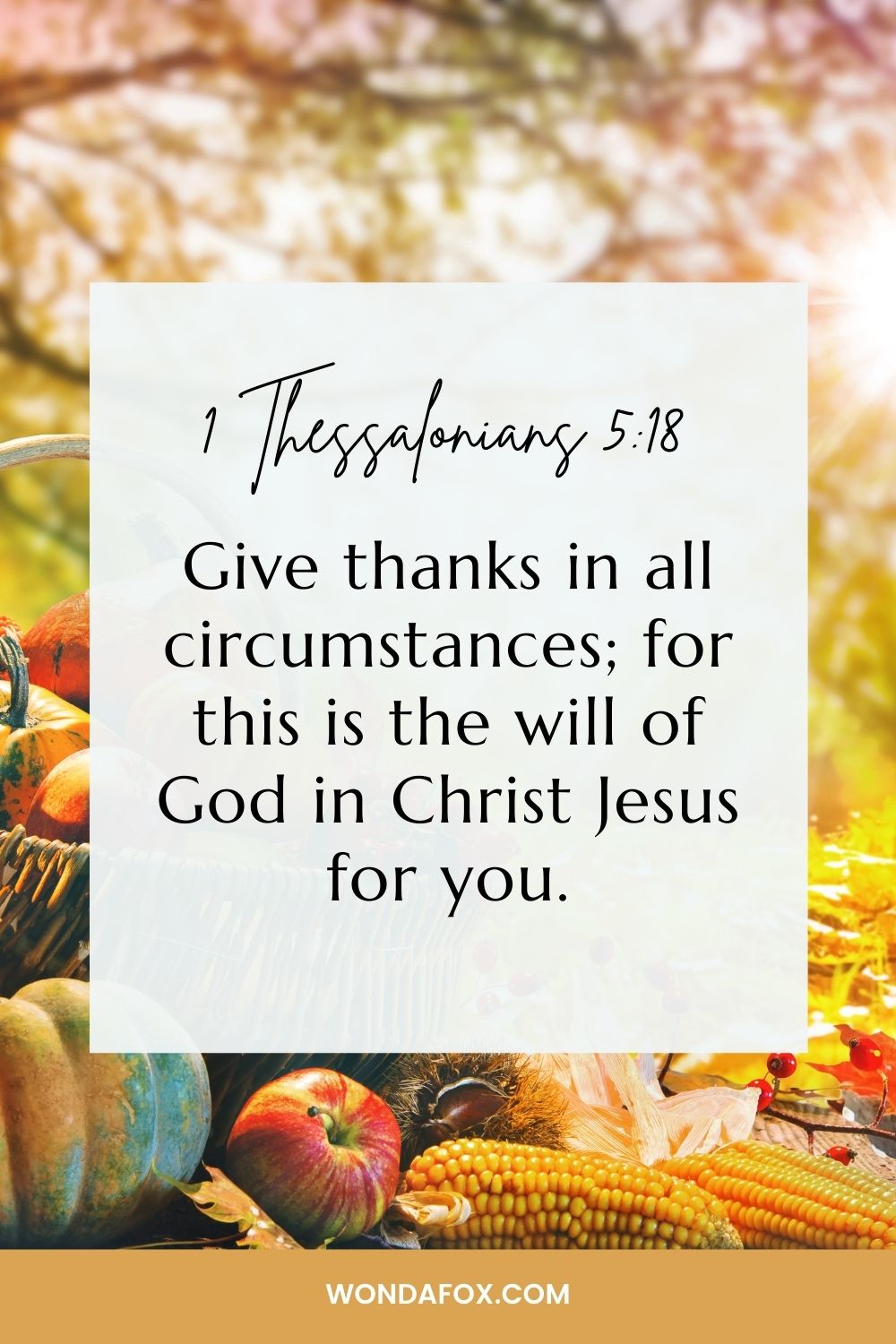 Give thanks in all circumstances; for this is the will of God in Christ Jesus for you.