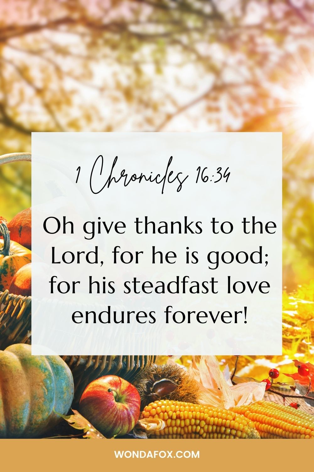 Oh give thanks to the Lord, for he is good;     for his steadfast love endures forever!