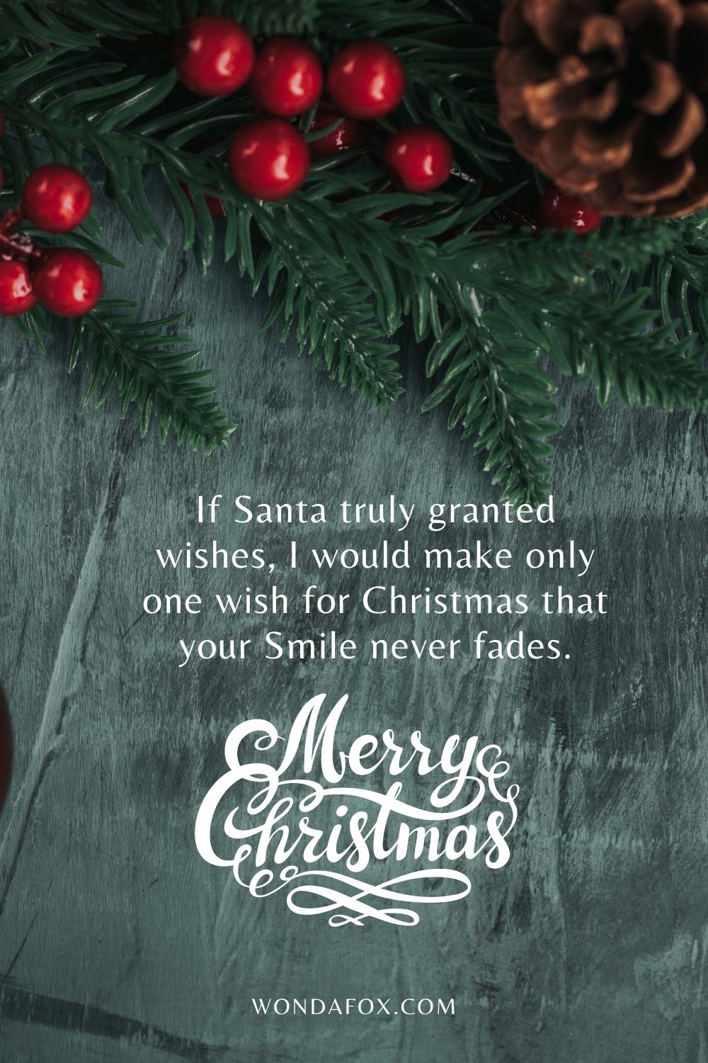 If Santa truly granted wishes, I would make only one wish for Christmas that your Smile never fades. Merry Christmas.