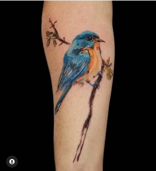 8 Beautiful Bird Tattoos And Their Meanings 3