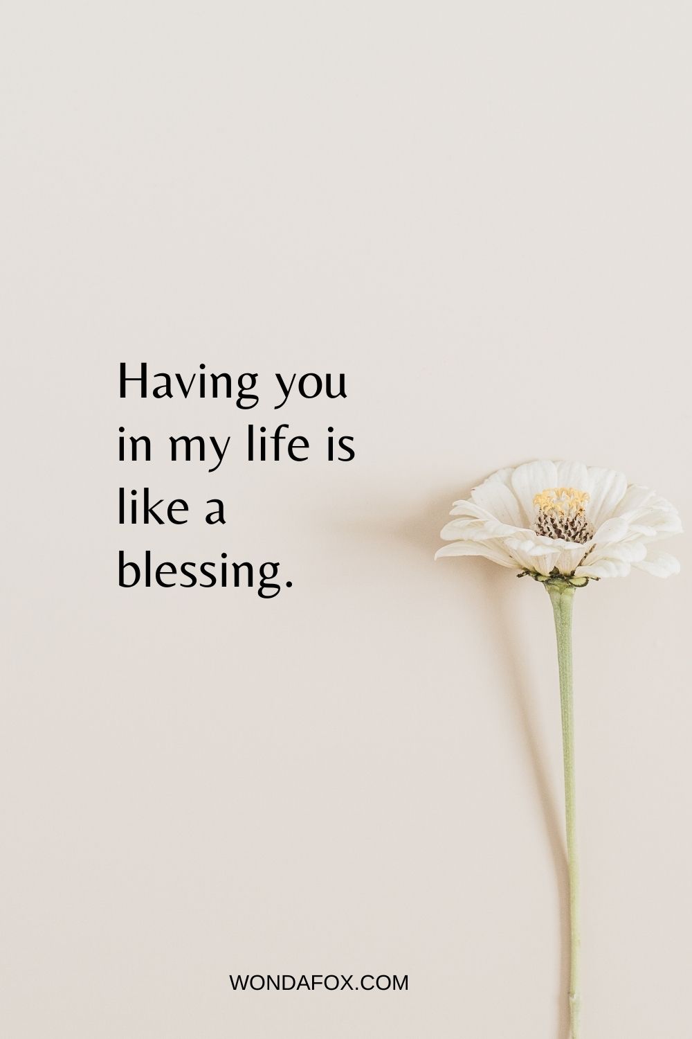 Having you in my life is like a blessing.