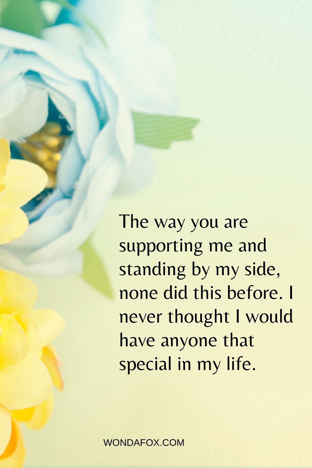 The way you are supporting me and standing by my side, none did this before. I never thought I would have anyone that special in my life.