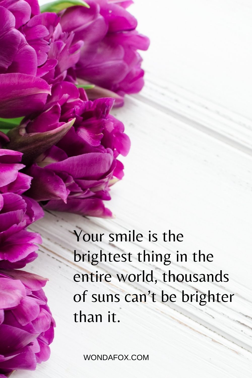 Your smile is the brightest thing in the entire world, thousands of suns can’t be brighter than it.