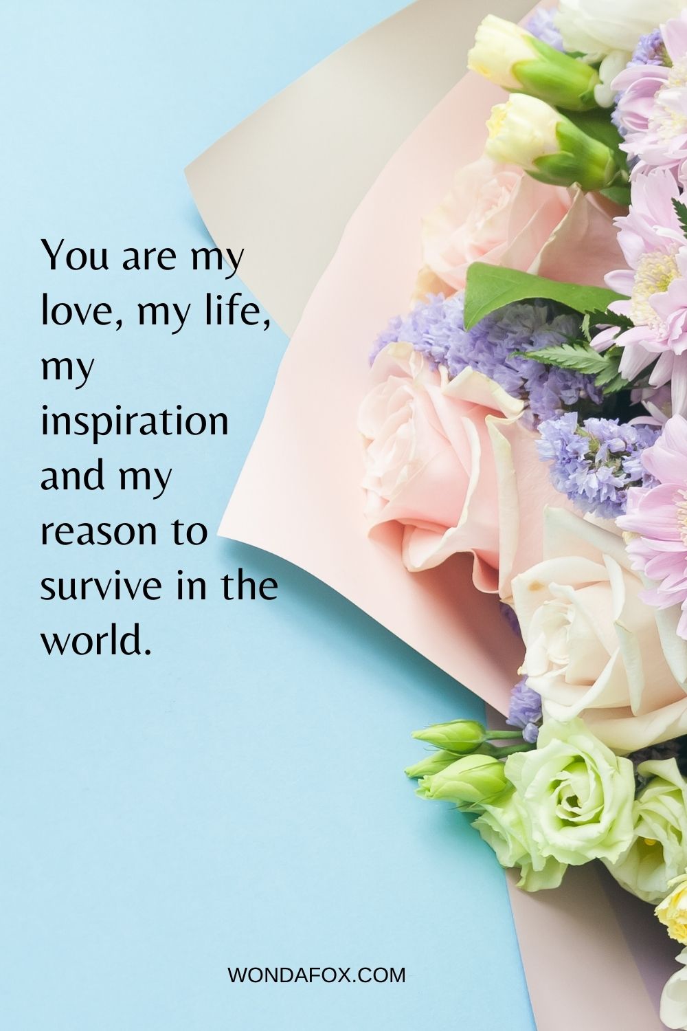 You are my love, my life, my inspiration and my reason to survive in the world.