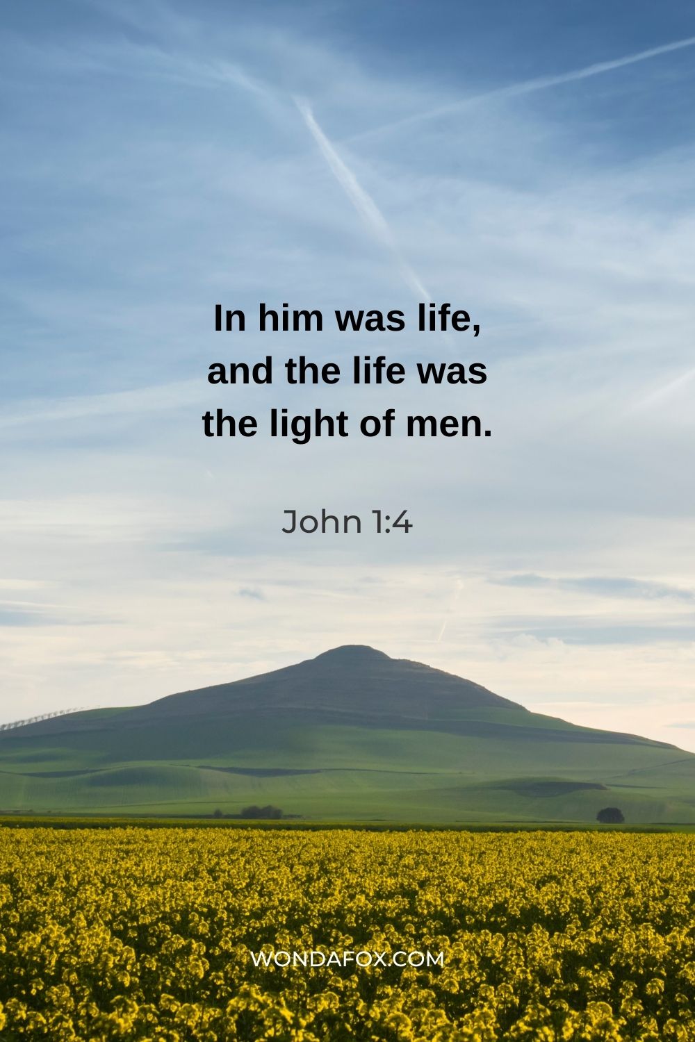 In him was life, and the life was the light of men.