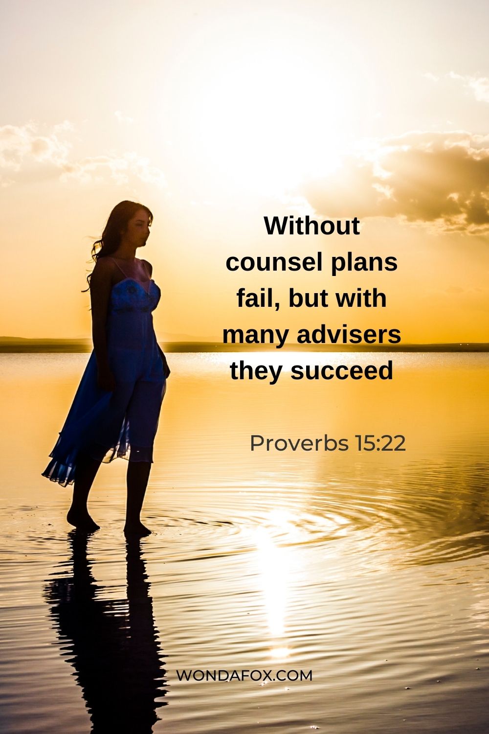Without counsel plans fail, but with many advisers they succeed