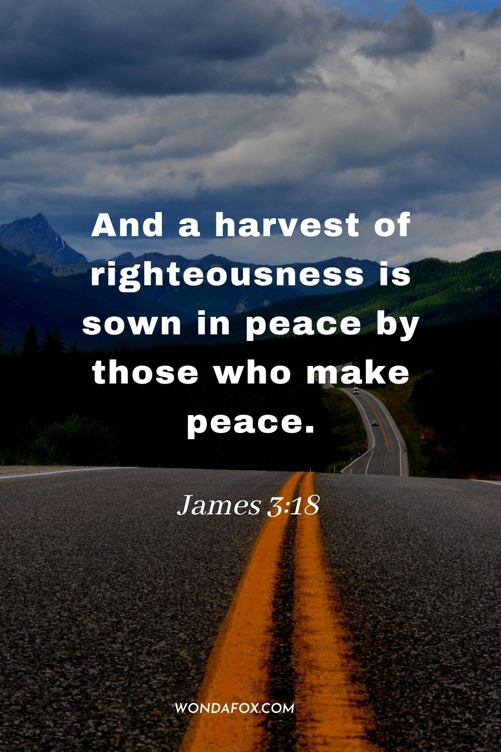 And a harvest of righteousness is sown in peace by those who make peace. James 3:18