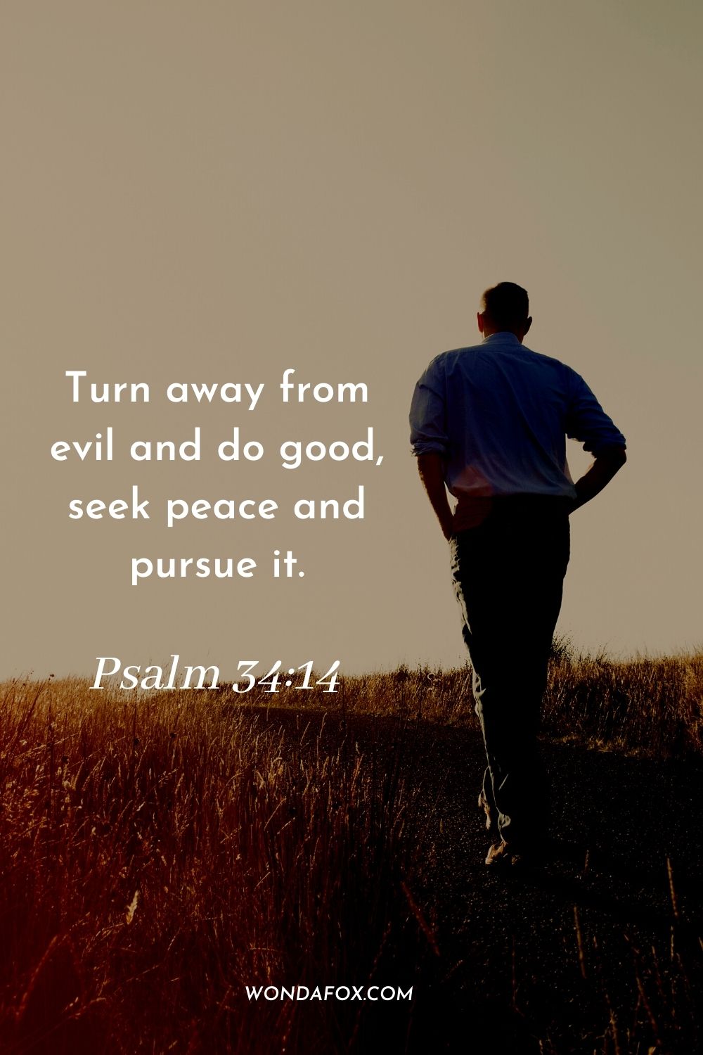 Turn away from evil and do good, seek peace and pursue it. Psalm 34:14