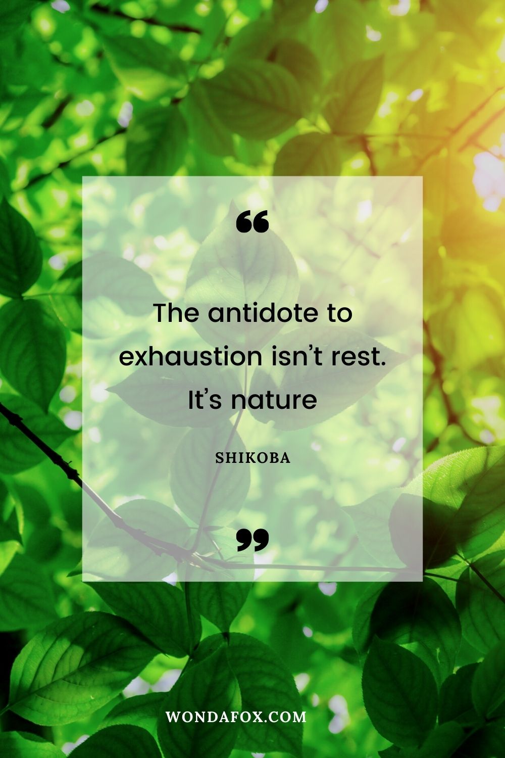 “The antidote to exhaustion isn’t rest. It’s nature
