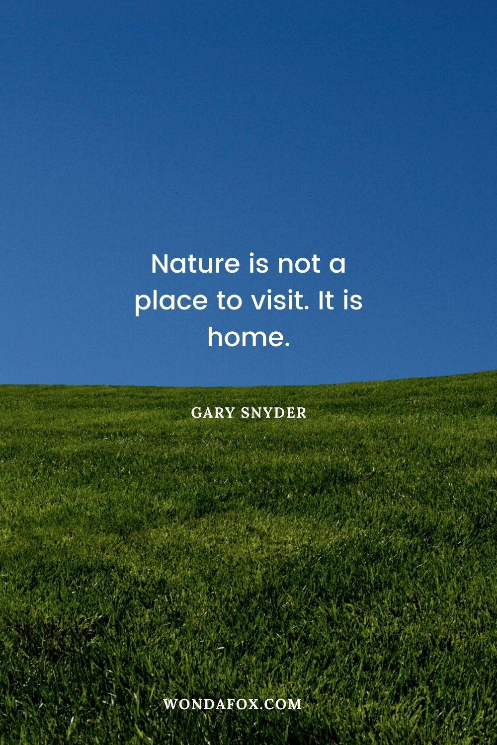 Nature is not a place to visit. It is home.