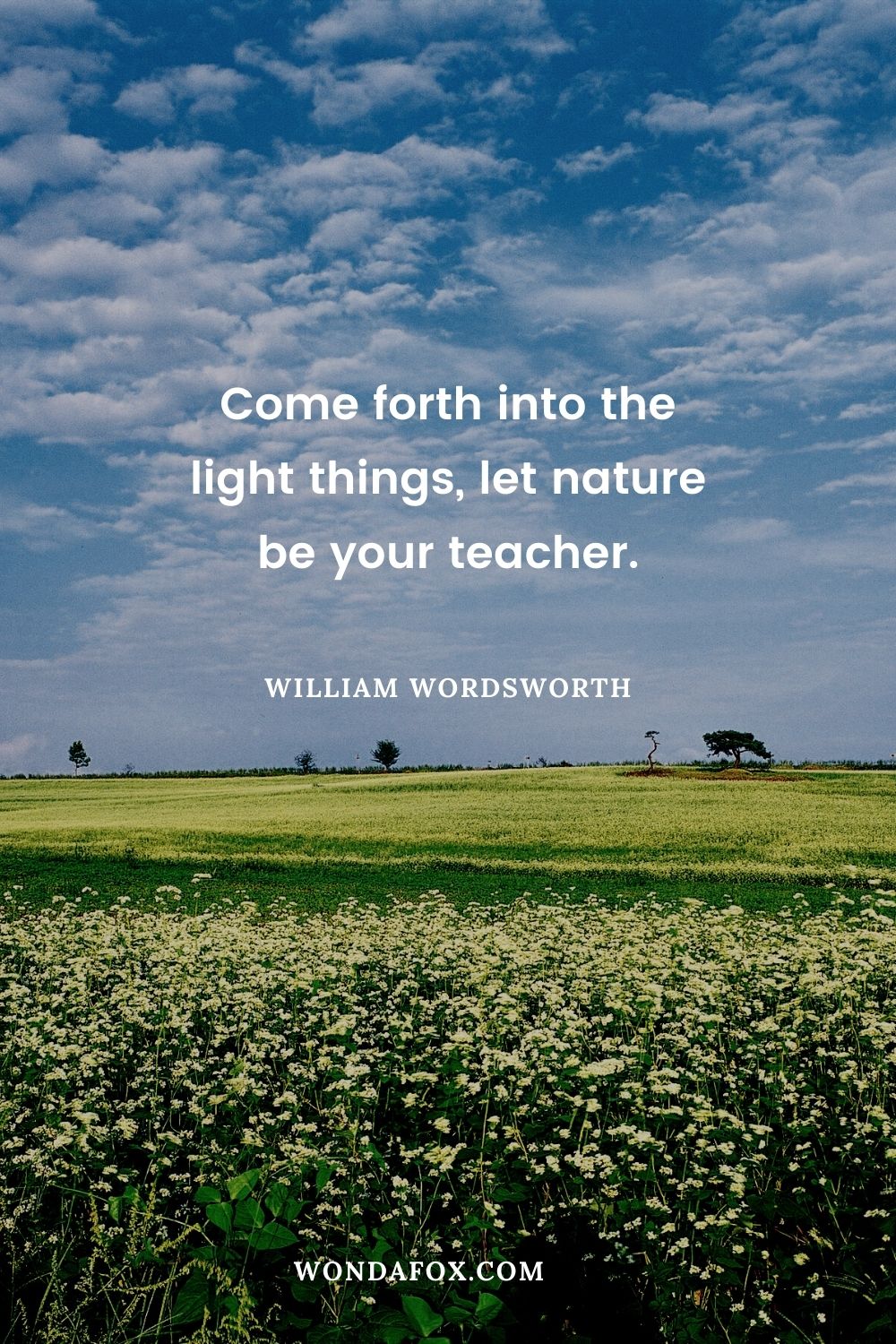 Come forth into the light things, let nature be your teacher.