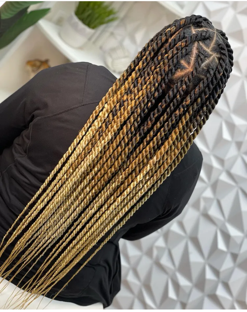 Half and half colored braids