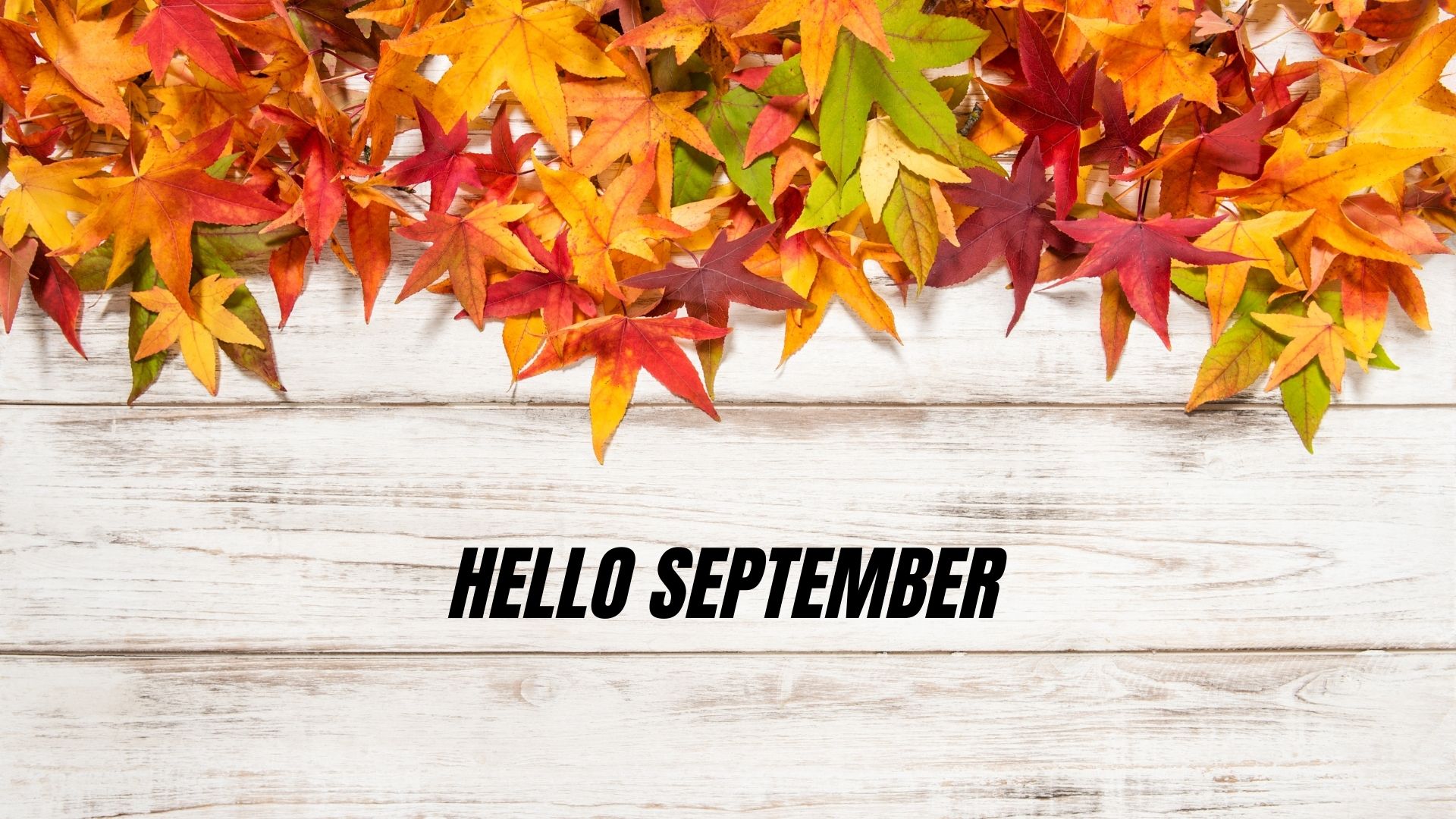 Hello September desktop wallpaper
