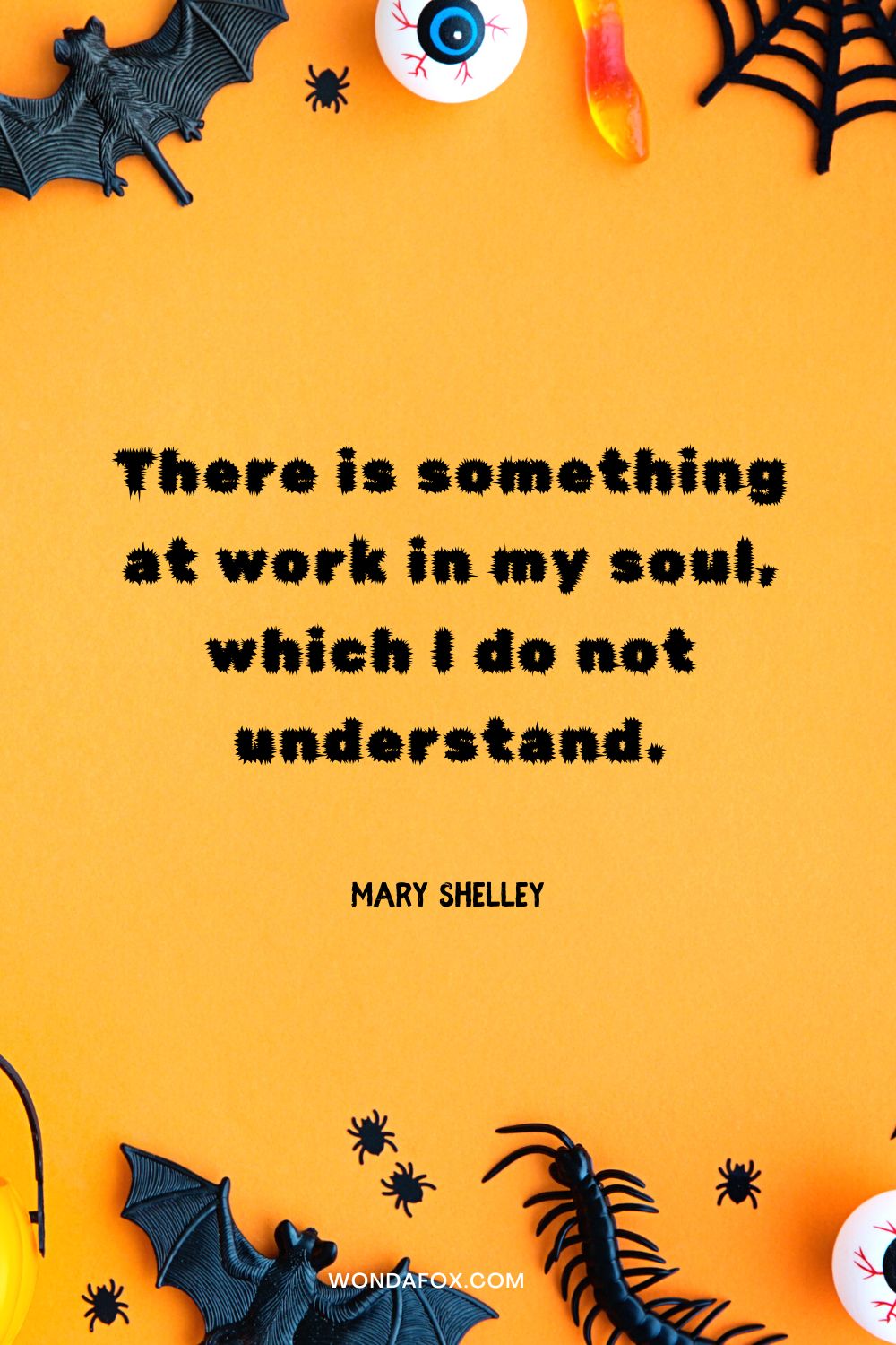 There is something at work in my soul, which I do not understand. Mary Shelley