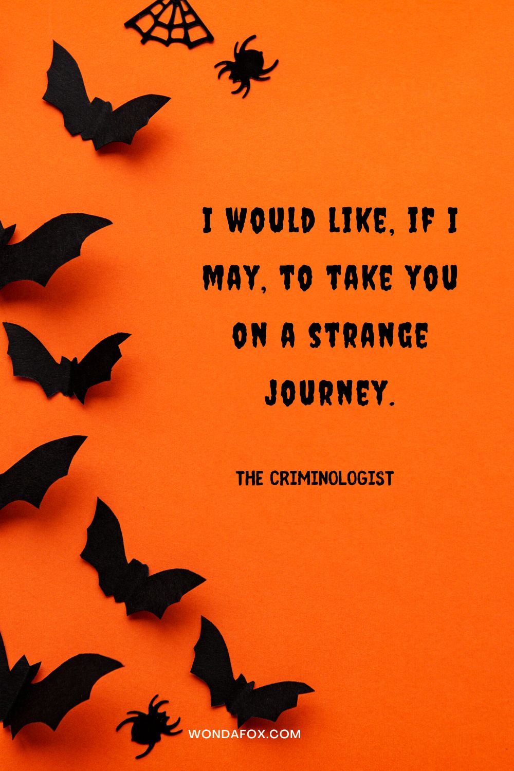 I would like, if I may, to take you on a strange journey. The Criminologist