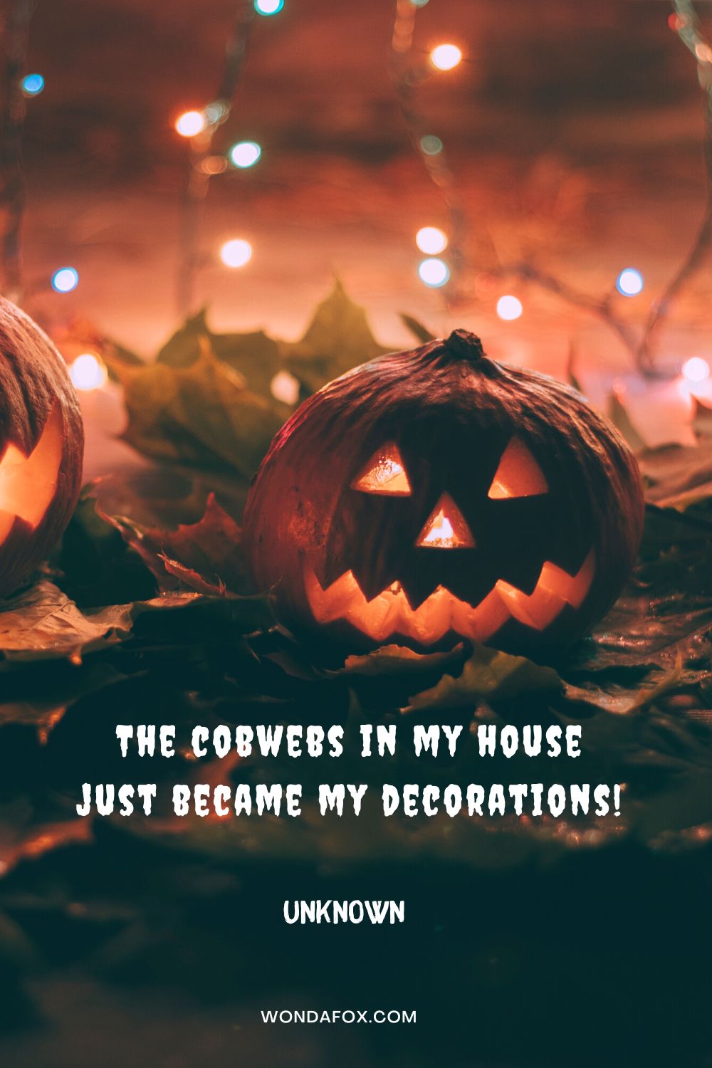 The cobwebs in my house just became my decorations! Unknown 