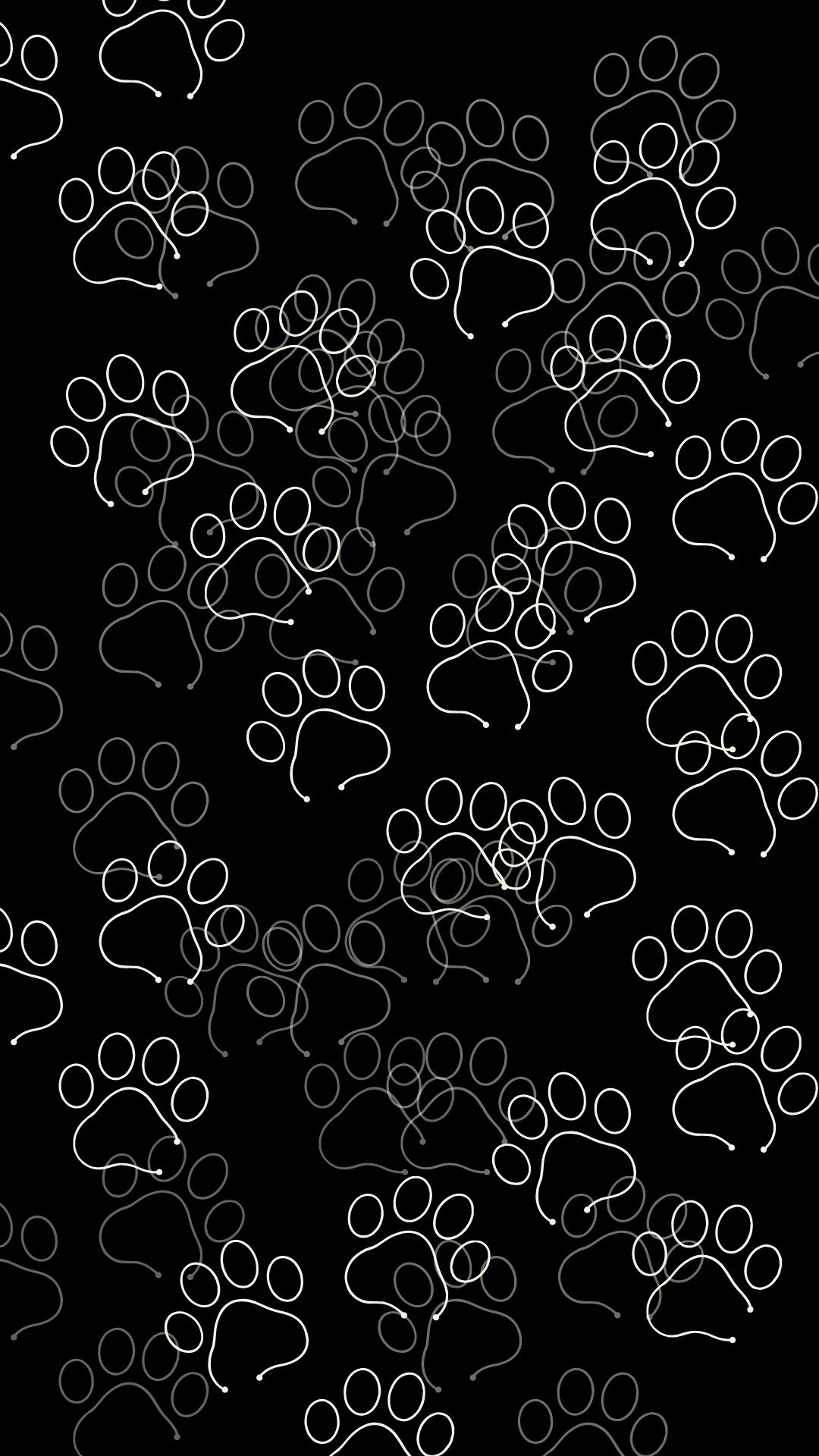 Cat Black Wallpaper Designs For Phone