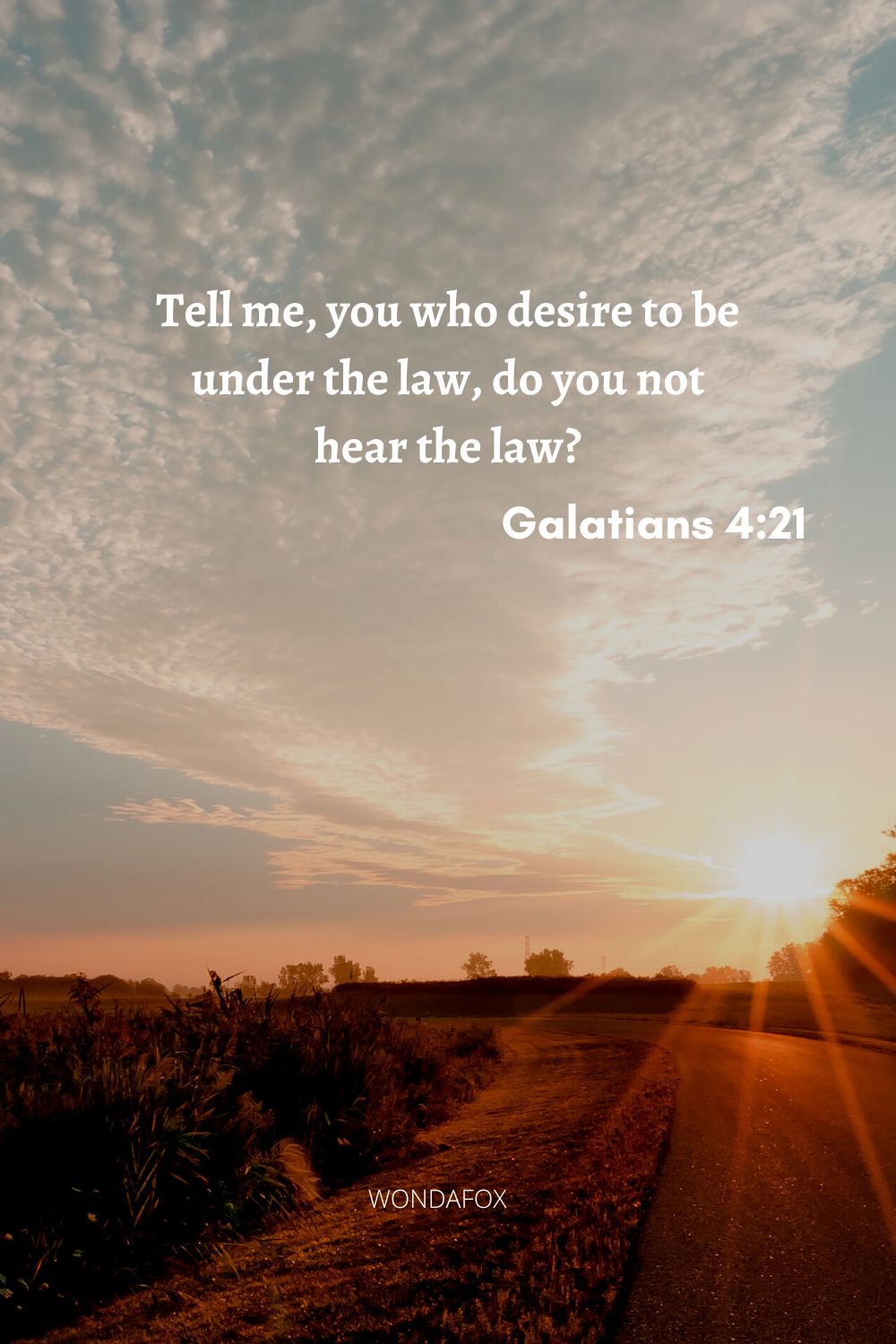 Tell me, you who desire to be under the law, do you not hear the law?
Galatians 4:21