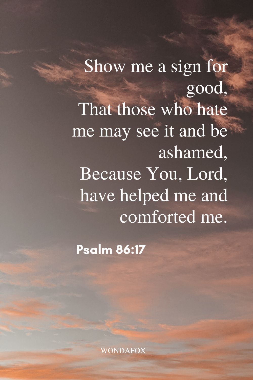 Show me a sign for good,
That those who hate me may see it and be ashamed,
Because You, Lord, have helped me and comforted me.
Psalm 86:17
