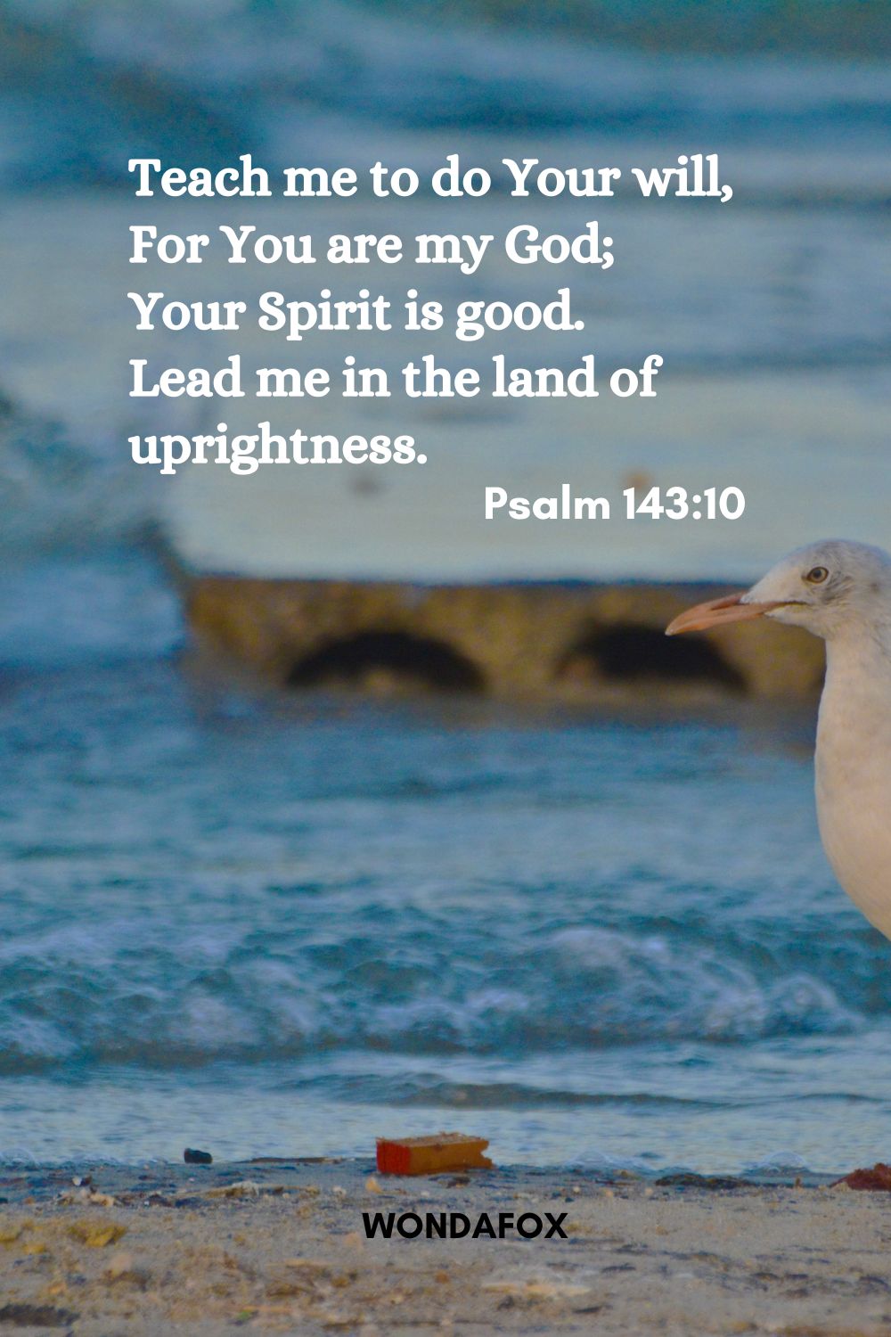Teach me to do Your will,
For You are my God;
Your Spirit is good.
Lead me in the land of uprightness.
Psalm 143:10