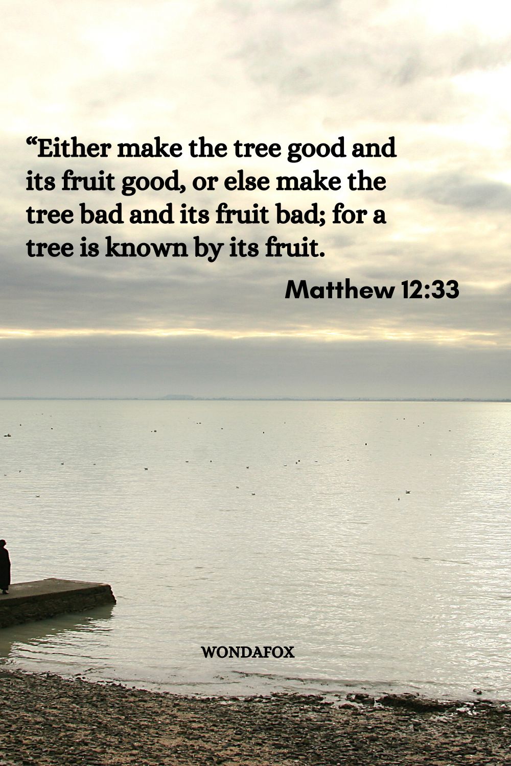 “Either make the tree good and its fruit good, or else make the tree bad and its fruit bad; for a tree is known by its fruit.
Matthew 12:33
