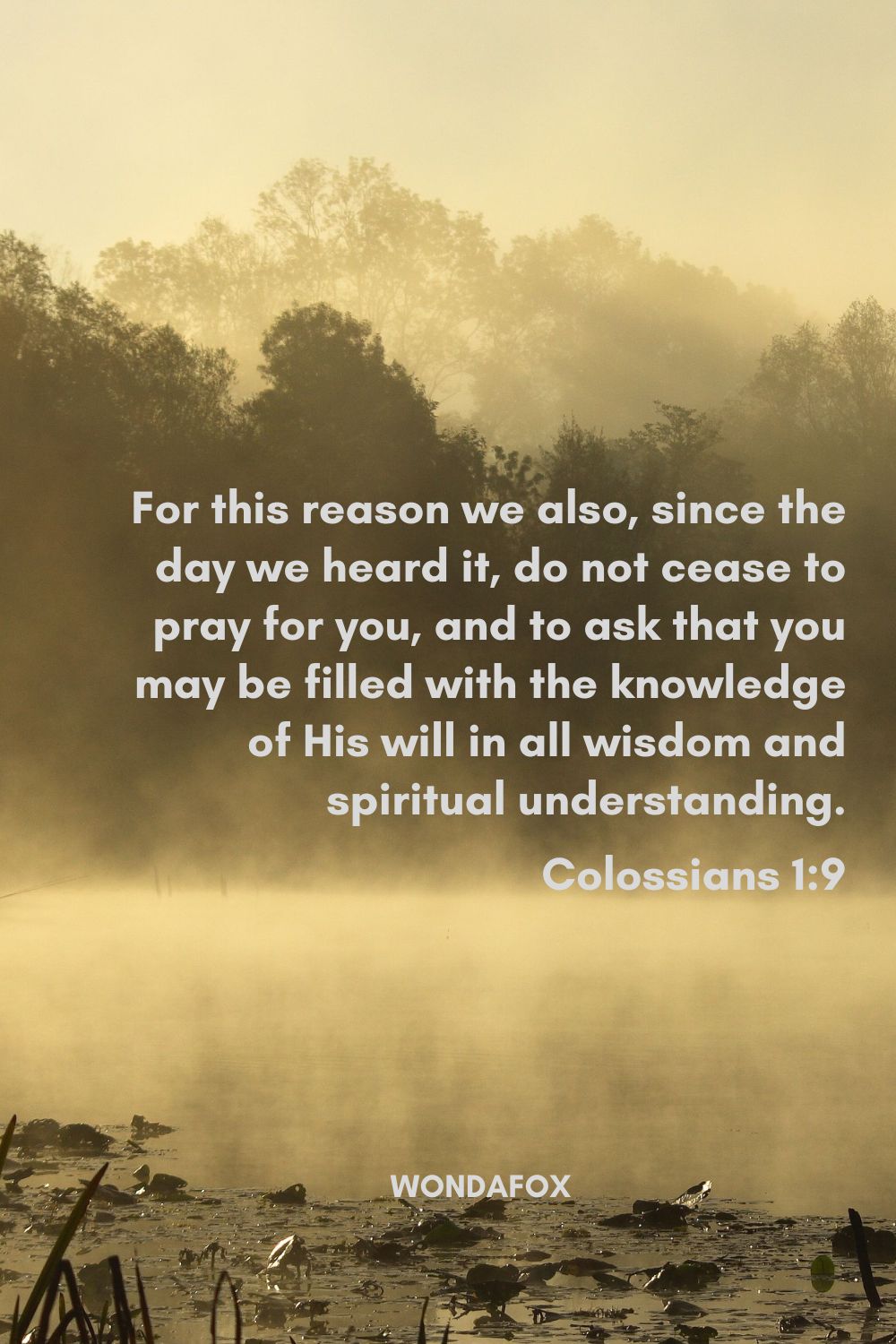 For this reason we also, since the day we heard it, do not cease to pray for you, and to ask that you may be filled with the knowledge of His will in all wisdom and spiritual understanding.
Colossians 1:9
