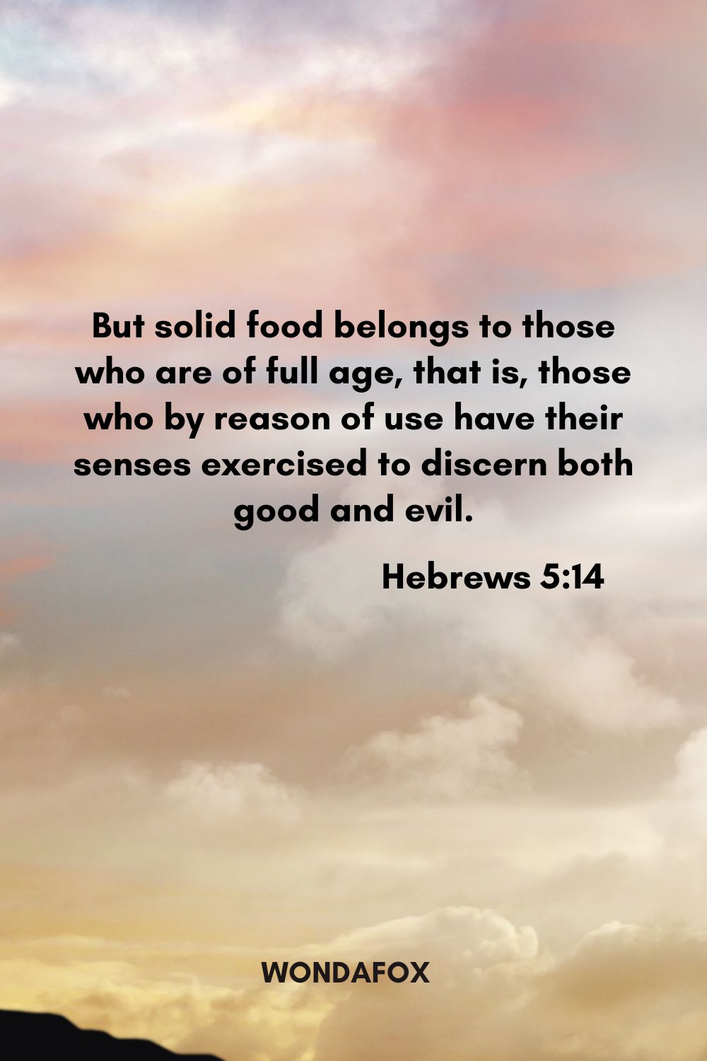 But solid food belongs to those who are of full age, that is, those who by reason of use have their senses exercised to discern both good and evil.
Hebrews 5:14