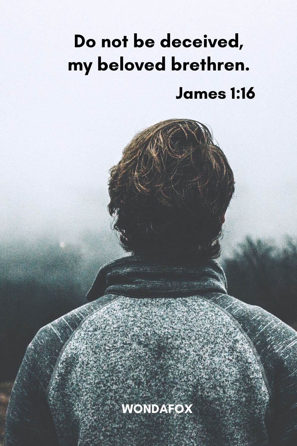 Do not be deceived, my beloved brethren.
James 1:16