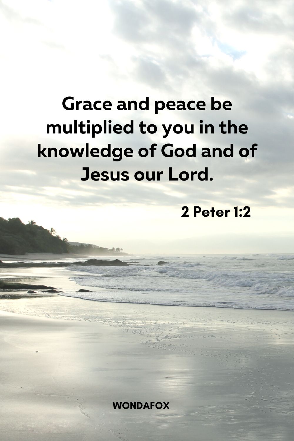 Grace and peace be multiplied to you in the knowledge of God and of Jesus our Lord.
2 Peter 1:2