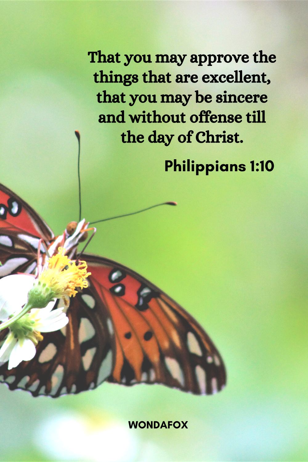 That you may approve the things that are excellent, that you may be sincere and without offense till the day of Christ.
Philippians 1:10