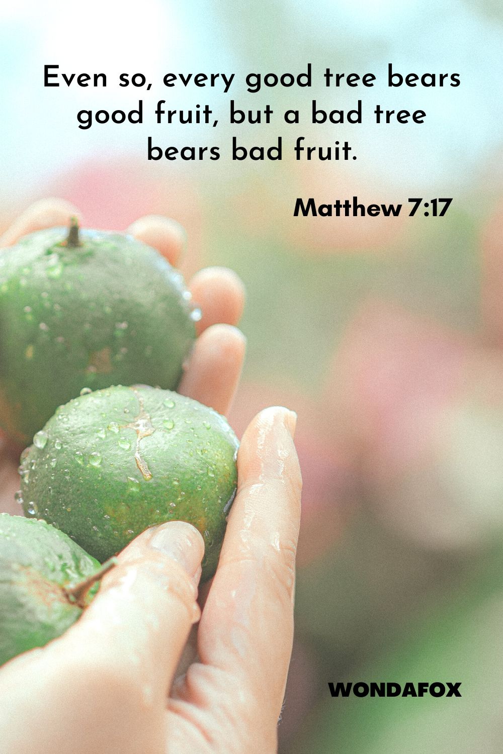 Even so, every good tree bears good fruit, but a bad tree bears bad fruit.
Matthew 7:17