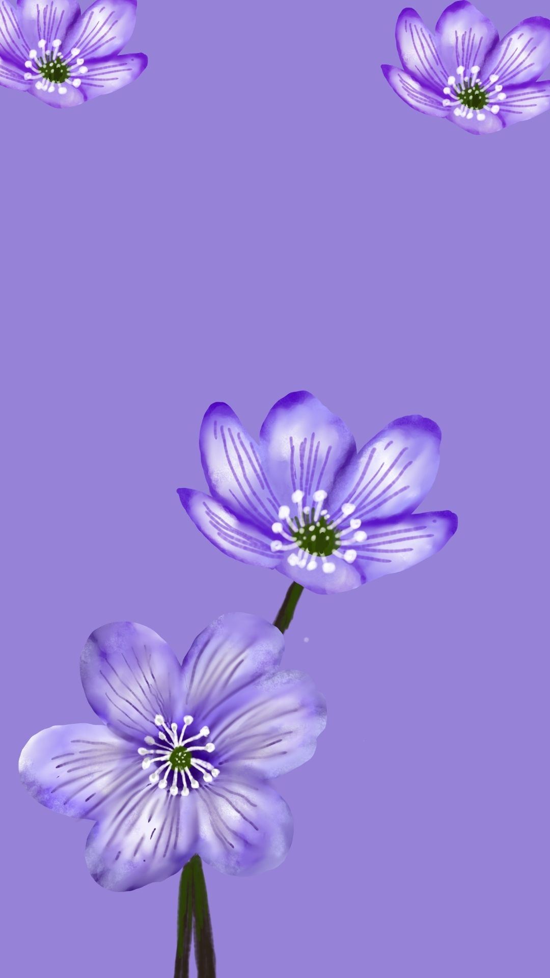 Purple Flower Phone Wallpaper Background