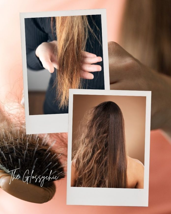 5 Signs You Are Damaging Your Hair