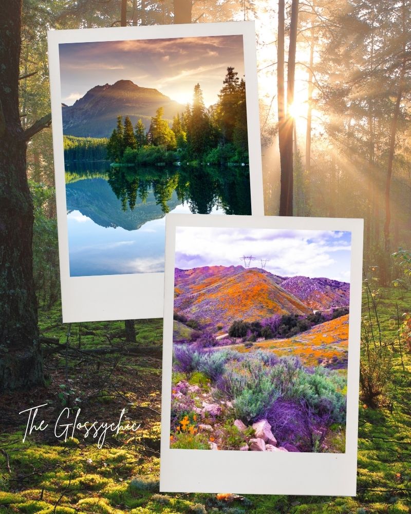 nature 50 Best Nature Quotes