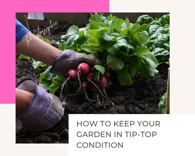 Best Ways To Keep Your Garden In Tip-Top Condition - The Glossychic